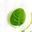 Logo Nature Verte